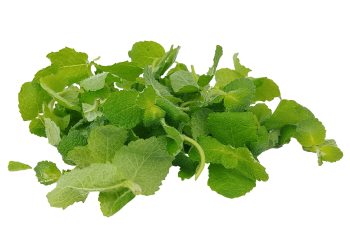 Applemint
