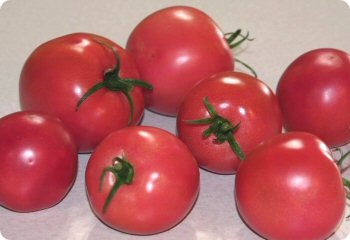 Tomato 'Eva Purple Ball'