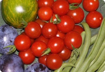 Tomato 'Peacevine Cherry'