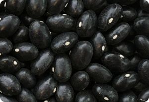 Bean 'Black Coco'