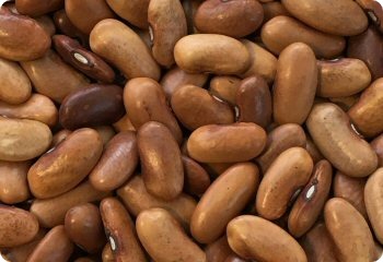 Blauhilde bean seeds