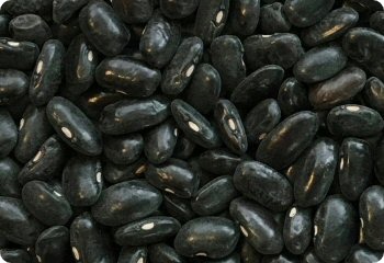 Cherokee Trail of Tears bean seeds