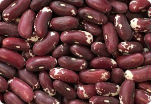 Bean 'Jacob's Cattle'