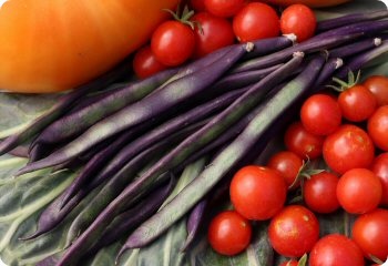 Bean 'Purple Podded Pole'