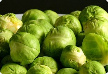 brussels sprouts