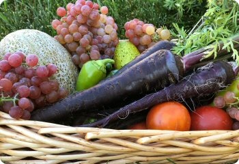 Carrot 'Black Nebula'