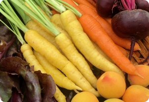Carrot 'Uzbek Golden'