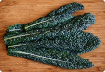 Kale 'Lacinato'