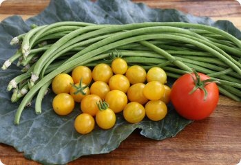 Long Bean 'Chinese Green Noodle'