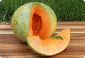 Melon 'Petit Gris de Rennes'