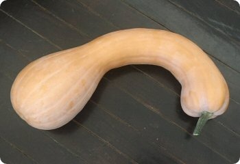 Tahitian Butternut Squash