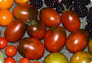 Black Moor tomato