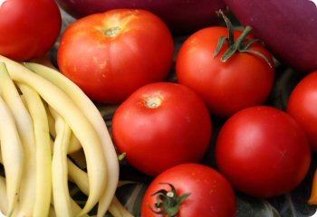 Tomato 'Bulgarian Triumph'