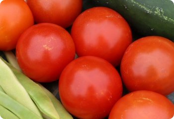 Tomato 'Early Gem'