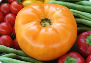 Tomato 'Kellogg's Breakfast'