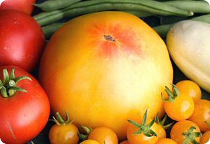 Tomato 'Mammoth German Gold'