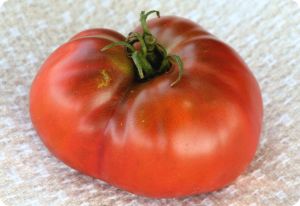 Tomato 'Paul Robeson'