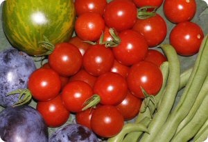 Tomato 'Peacevine Cherry'