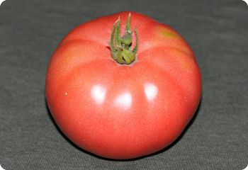 Tomato 'Purple Dog Creek'
