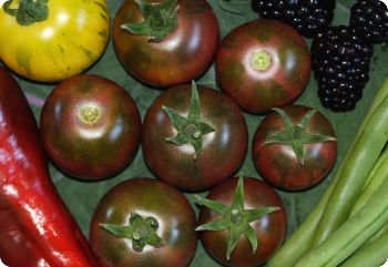 Tomato 'Violet Jasper'