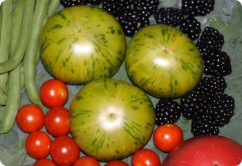 Tomato 'Zebra Rita'