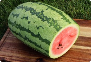 Watermelon 'Georgia Rattlesnake'